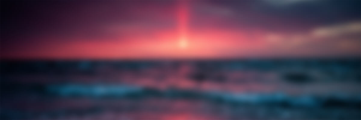 分类-网创资源-时光芝士